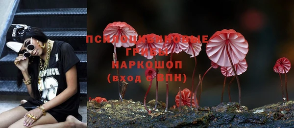 дживик Абинск